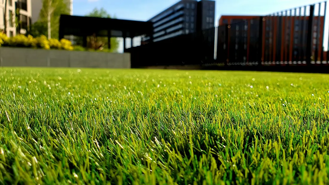 Immagine di ispirazione per una scheda giardino